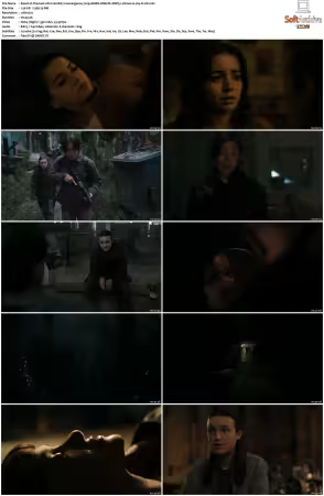The Last of Us S02 720p AMZN WEB-DL DDP5 1 Atmos H264-FLUX