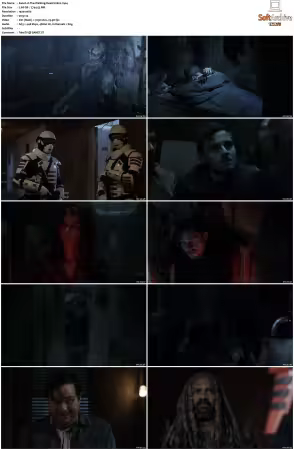 The Walking Dead S11 1080p BluRay AV1-XILEF