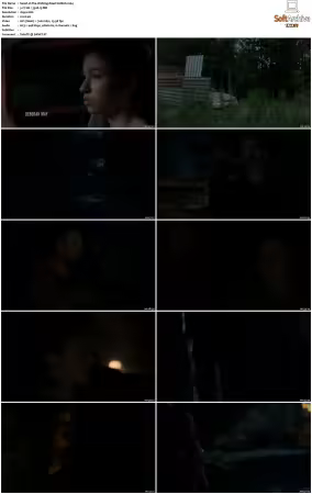 The Walking Dead S08 1080p BluRay AV1-XILEF