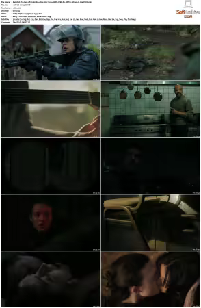 The Last of Us S02 720p AMZN WEB-DL DDP5 1 Atmos H264-FLUX
