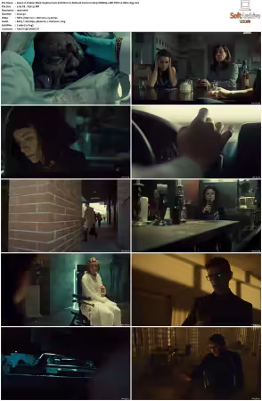 Orphan Black S04 1080p WEBRip 10Bit DDP2.0 HEVC-d3g