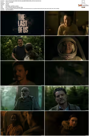 The Last of Us S02 720p AMZN WEB-DL DDP5 1 Atmos H264-FLUX