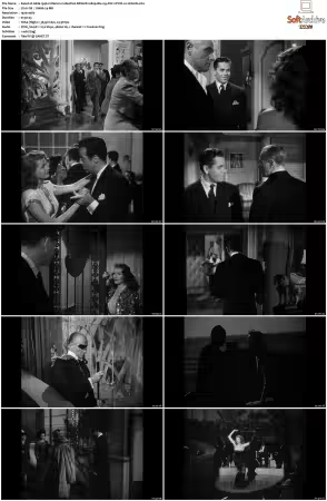 Gilda 1946 Criterion Collection REMUX 1080p Blu-ray AVC LPCM 1.0-LEGi0N
