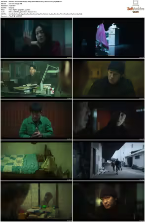 Nine Puzzles S01 1080p DSNP WEB-DL DD+5 1 Atmos H264-playWEB
