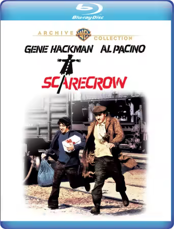Scarecrow 1973 MULTi 1080p BluRay x264 AC3-PTTrG