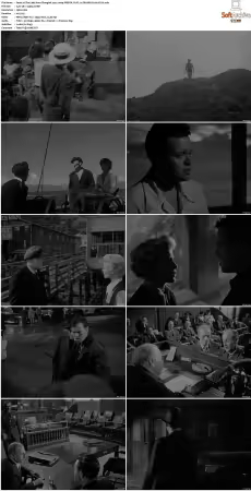 The Lady from Shanghai 1947 2160p WEB-DL FLAC 1 0 DV HDR H265-FLUX
