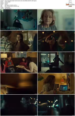 Orphan Black S04 1080p WEBRip 10Bit DDP2.0 HEVC-d3g