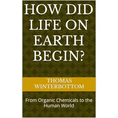 How Did Life on Earth Begin?: From Organic Chemicals to the Human World[Audiobook]