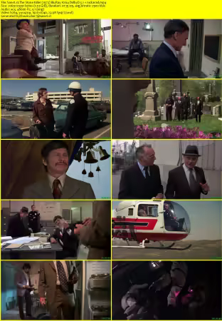The Stone Killer 1973 BluRay H264 DolbyD 5.1 nickarad