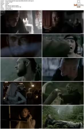 Vikings S01 S06 1080p WEBRip 10Bit DDP2 0 HEVC-d3g