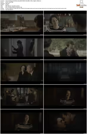 Fleabag 2016 S02 2160p AMZN WEB-DL H265 HDR10+ DDP 5.1 HONE