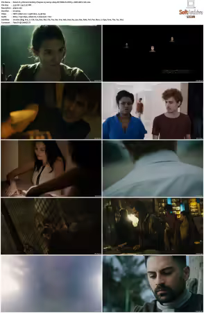 3% ak3 Percent S02 2160p NF WEB-DL DDP5 1 SDR HEVC-SiC