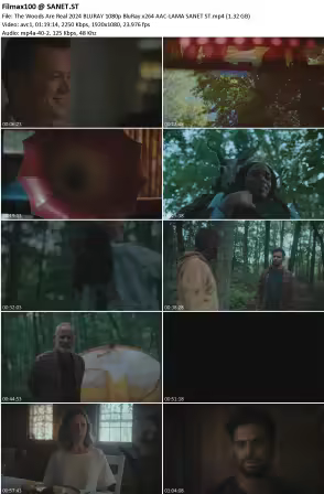 https://sanet.pics/storage-11/0625/avif/th_dXI2usegrqFBJrMhMCUIgBPlBo2Hi52m.avif