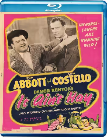 It Aint Hay 1943 1080p BluRay x264-OFT