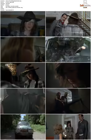 The Walking Dead S07 1080p BluRay AV1-XILEF
