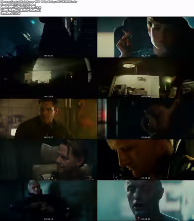 Blade Runner 1982 1080p BluRay x265-YAWNTiC
