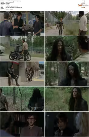 The Walking Dead S04 1080p BluRay AV1-XILEF