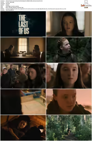 The Last of Us S02 1080p HULU WEB-DL DDP5 1 Atmos H264-FLUX