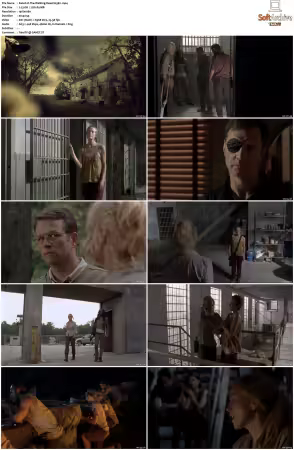 The Walking Dead S03 1080p BluRay AV1-XILEF