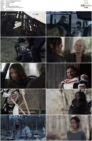 The Walking Dead S11 1080p BluRay AV1-XILEF
