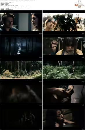 Antichrist 2009 CC REMUX 1080p Blu-ray AVC DTS-HD MA 5.1-LEGi0N