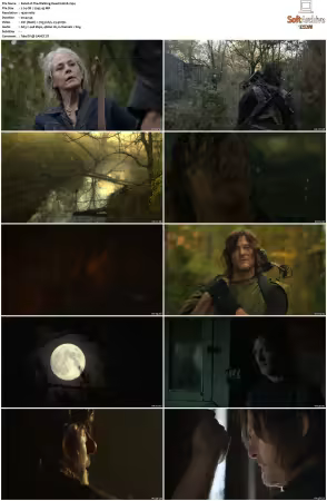 The Walking Dead S10 1080p BluRay AV1-XILEF