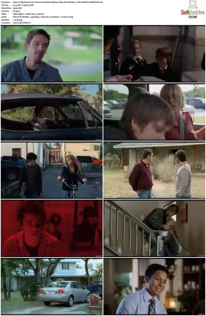 Boyhood 2014 Criterion Collection BluRay 1080p DTS-HD MA 5.1 AVC REMUX-FraMeSToR