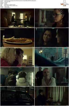 Orphan Black S03 1080p WEBRip 10Bit DDP2.0 HEVC-d3g