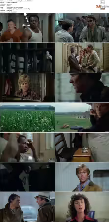 Brubaker 1980 1080p BluRay x264-GECKOS