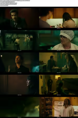 The Cleaning Lady S04E11 1080p WEB HEVC x265-RMT