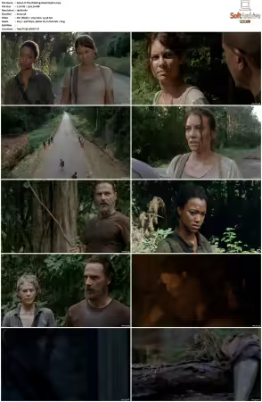 The Walking Dead S05 1080p BluRay AV1-XILEF