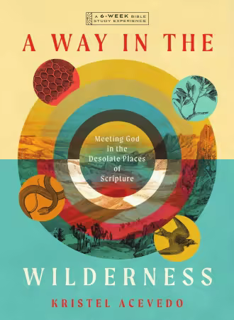 A Way in the Wilderness: Meeting God in the Desolate Places of Scripture