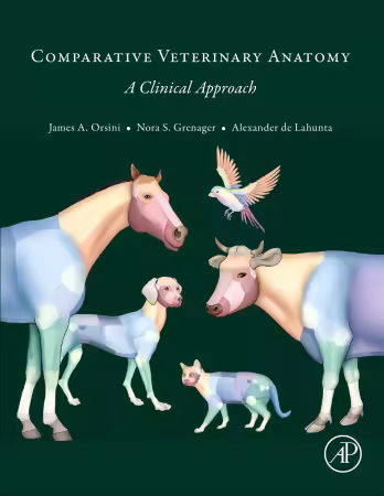 Comparative Veterinary Anatomy A Clinical Approach 1st Edition