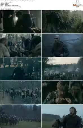 Vikings S01 S06 1080p WEBRip 10Bit DDP2 0 HEVC-d3g