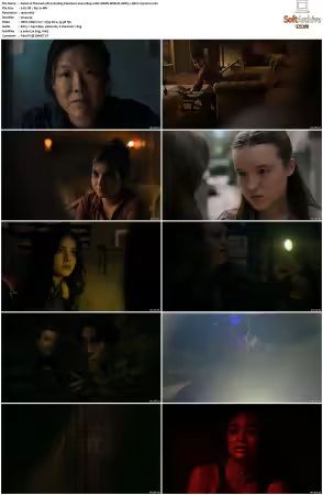 The Last Of Us 2023 S02 1080p AMZN WEB-DL x265 HEVC 10bit DDP 5.1 Vyndros