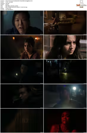 The Last of Us S02 MULTI 1080p WEB X264-HiggsBoson