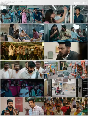 Single 2025 2160p AMZN WEB-DL DD 5.1 H265-playWEB