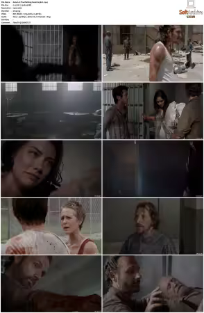 The Walking Dead S03 1080p BluRay AV1-XILEF