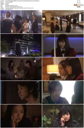 BOYS OVER FLOWERS S02 1080p VIKI WEB-DL AAC2 0 H 264-MrHulk