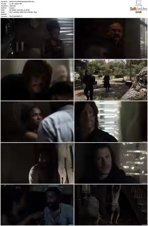 The Walking Dead S11 1080p BluRay AV1-XILEF