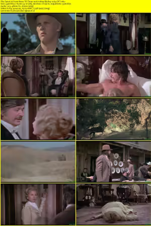 From Noon Till Three 1976 1080p BluRay x264-OFT