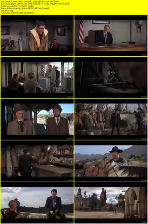 Hour of the Gun 1967 1080p BluRay x264-OFT