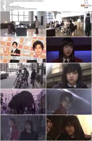 BOYS OVER FLOWERS S02 1080p VIKI WEB-DL AAC2 0 H 264-MrHulk