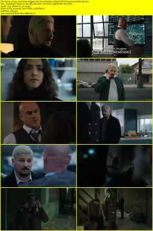 Law and Order Organized Crime S05E09 1080p WEB H264-SuccessfulCrab