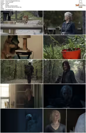 The Walking Dead S10 1080p BluRay AV1-XILEF