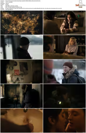 The Last of Us S02 720p HULU WEB-DL DDP5 1 Atmos H264-FLUX