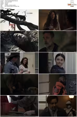 The Walking Dead S11 1080p BluRay AV1-XILEF