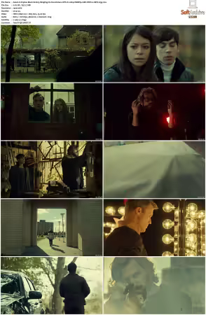 Orphan Black S02 1080p WEBRip 10Bit DDP2.0 HEVC-d3g