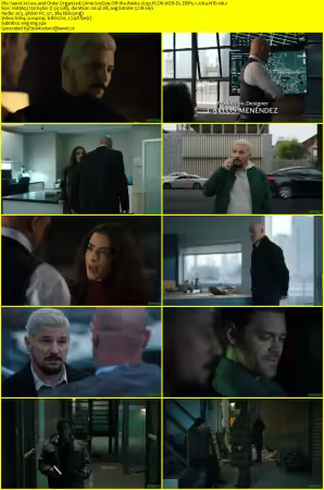 Law and Order Organized Crime S05E09 Off the Books 720p PCOK WEB-DL DDP5.1 x264-NTb
