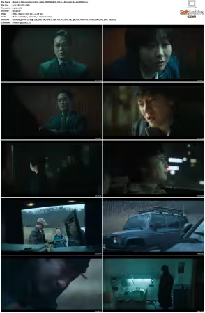 Nine Puzzles S01 1080p DSNP WEB-DL DD+5 1 Atmos H264-playWEB